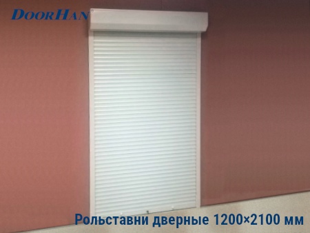 Рольставни на двери 1200×2100 мм в Черкесске от 24490 руб.